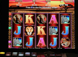 ayx大厅手机版免费版